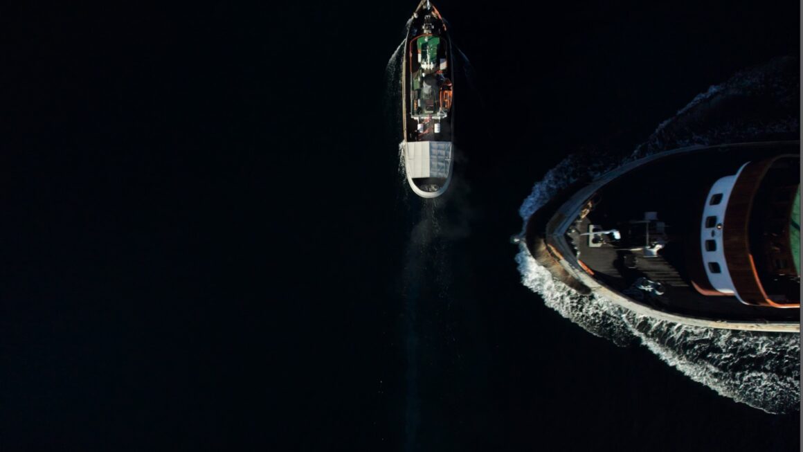 Styrbjørn i Gratangen fjord